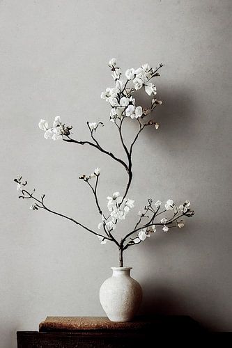White Blossoms