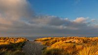 Winter Afternoon Light on the dunes by the sea by Bram van Broekhoven thumbnail