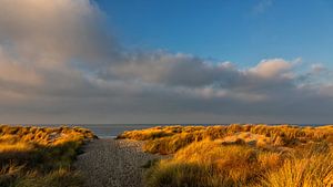 Après-midi d'hiver Lumière sur les dunes au bord de la mer sur Bram van Broekhoven