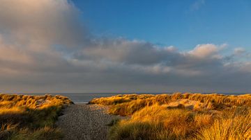 Winter Middag Licht op de duinen aan zee van Bram van Broekhoven