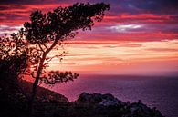 Mallorca - Sonnenuntergang in der Serra de Tramuntana van Alexander Voss thumbnail