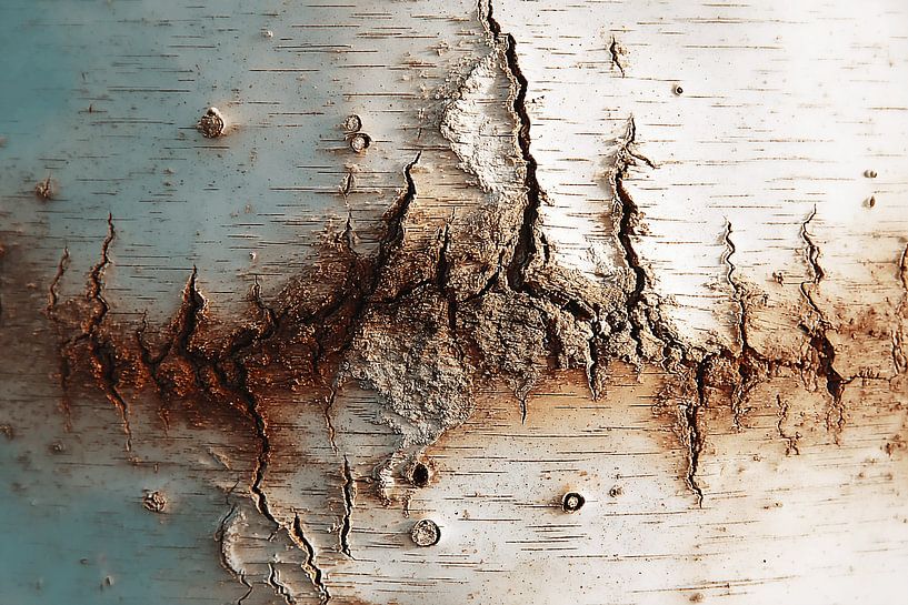 Birch listening to you Toefluist by Karina Brouwer