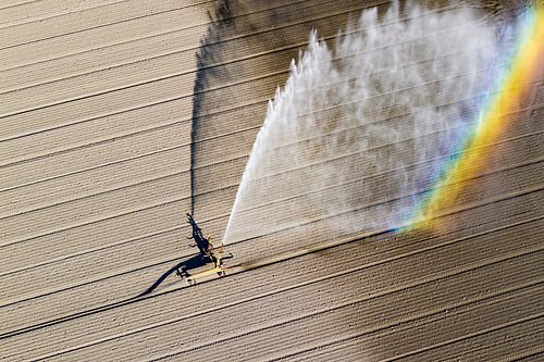 Machine d'irrigation à pivot équipée d'un canon pulvérisant de l'eau sur Sjoerd van der Wal Photographie