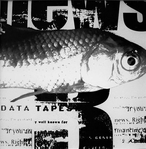 Vis op krantenpapier zwart wit