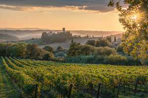 Sonnenuntergang über der Abtei Badia a Passignano und den Chianti-Weinbergen