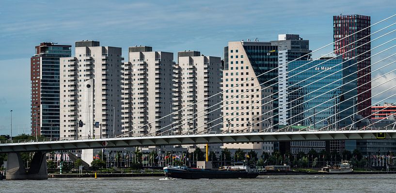 Rotterdam van Eddy Westdijk