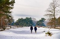 wandelaars in de sneeuw von Heleen Pennings Miniaturansicht