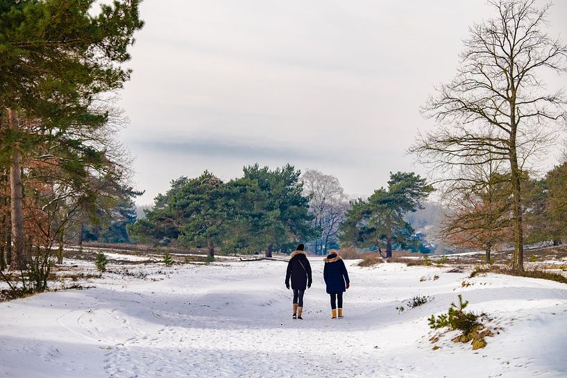 wandelaars in de sneeuw von Heleen Pennings