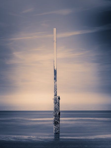 Alone by Wim van D