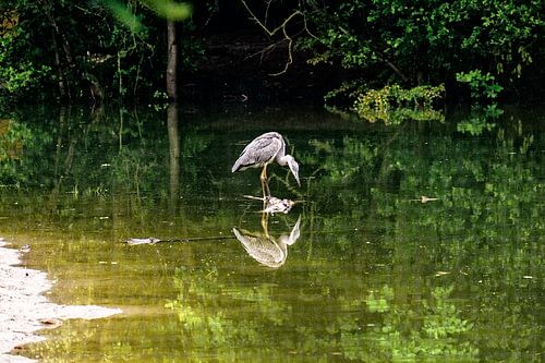 Spiegelspiegel an der Wand.....