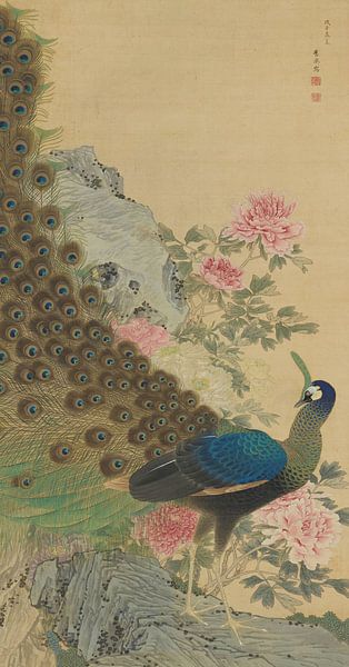 Pfau und Pfingstrosen, Maruyama Ōkyo von Meisterhafte Meister