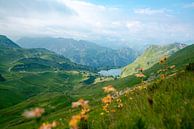 Flowery view of the Seealpsee in the Allgäu Alps by Leo Schindzielorz thumbnail