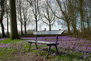 Lente in Park de Plantage