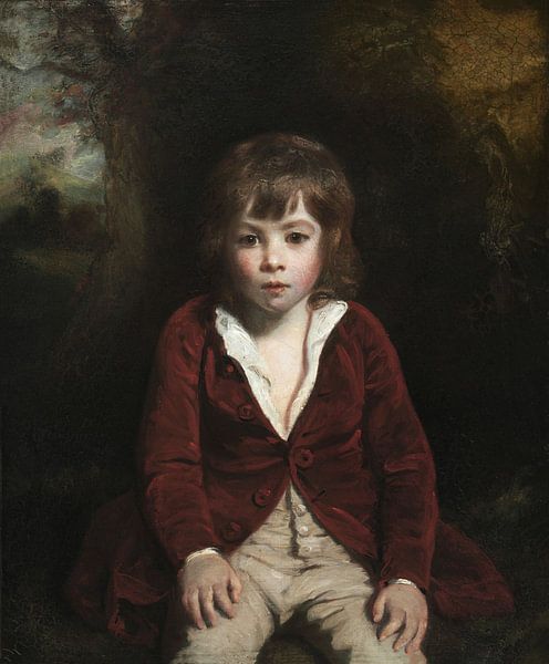 Portrait of Master Bunbury, Joshua Reynolds by Masterful Masters