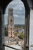 Uniek standpunt op de Domtoren in Utrecht