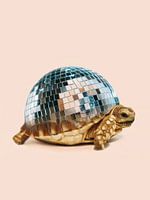 DISCO TURTLE