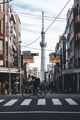 Zebra crossing in Tokyo