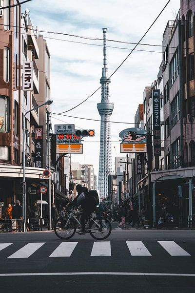 Zebra crossing in Tokyo by Joep Gräber