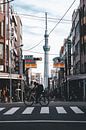 Zebra crossing in Tokyo by Joep Gräber thumbnail