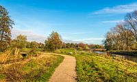 Schilderachtig Nederlands landschap in het najaar