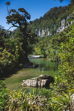 Pororari River Track : marcher le long d'une rivière cachée paradisiaque sur Ken Tempelers