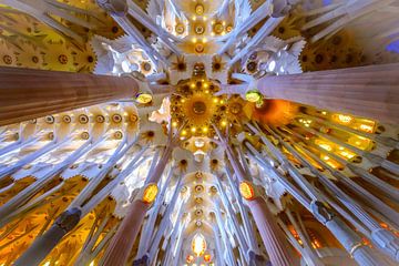 Sagrada Familia van Frans Nijland