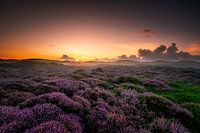 Sunrise on Texel