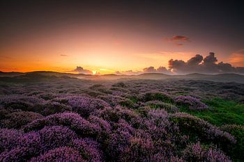 Sonnenaufgang auf Texel