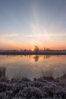 Bargerveen #2