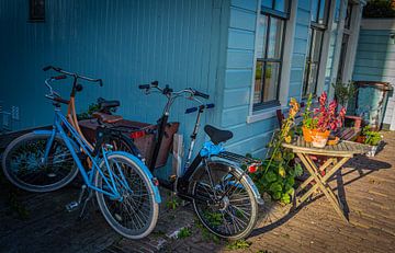 Kleurige fietsen en planten voor het huis van peterheinspictures