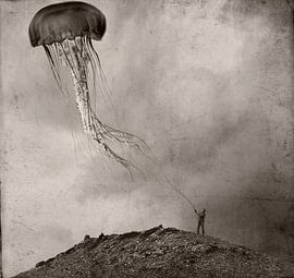 vastgebonden van Jeffrey Hummel