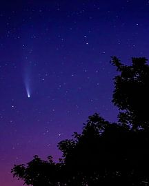 Neowise Comet van Bastiaan Van der Ploeg