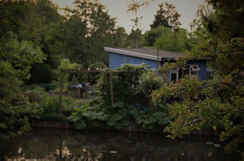 blue garden house in the forest