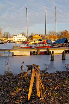 Hillegersberg en hiver