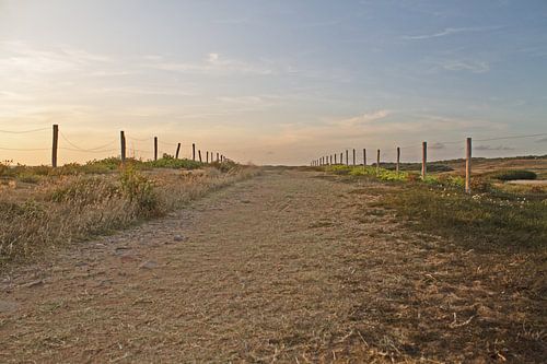 Het pad naar de gouden horizon
