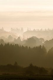 De Ardennen gehuld in mist van Anne van Wijk