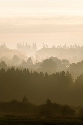 De Ardennen gehuld in mist