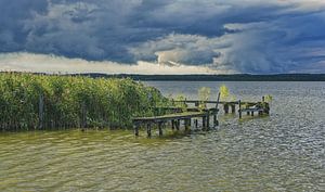 Stimmung im Müritz Nationalpark