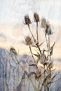 Art sur carton