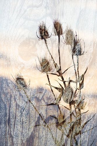 Cardstock Art by Jacqueline Gerhardt