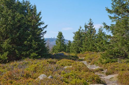 Wandelen op de Hohne kliffen in het Harz gebergte met uitzicht op de Brocken berg
