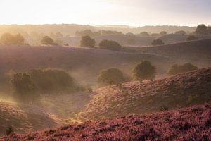 Sunrise Posbank