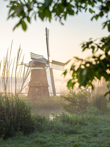 Betoverde windmolen in de ochtenddauw