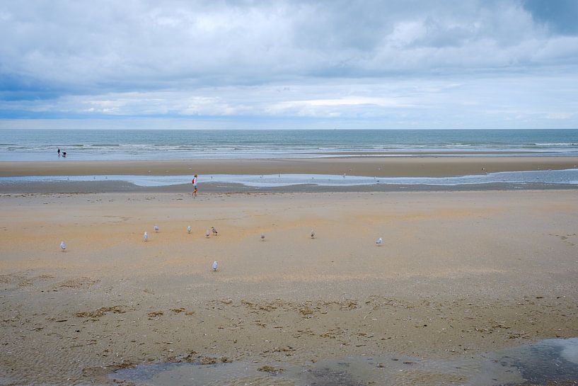 Walking on the beach by Johan Vanbockryck