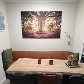 Customer photo: Tree of Life by Michiel Buijse, on artframe