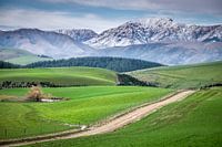 Alpen Nieuw Zeeland