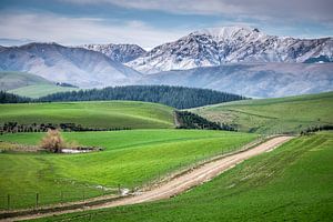 Neuseeland Alpen von Roel Beurskens