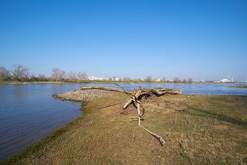 Oevers van de Elbe bij Magdebug