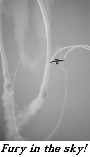 Hawker Sea Fury Motiv 3