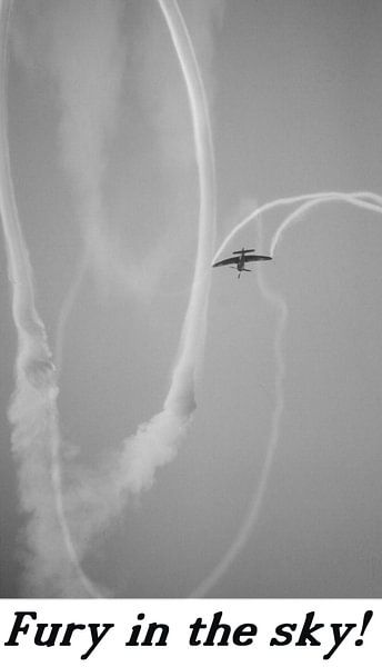 Hawker Sea Fury Motiv 3 von Joachim Serger